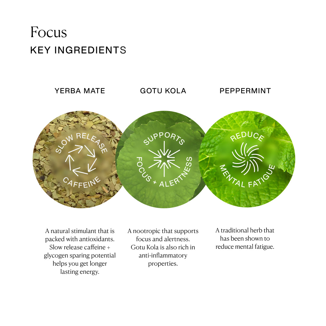 Focus Tea