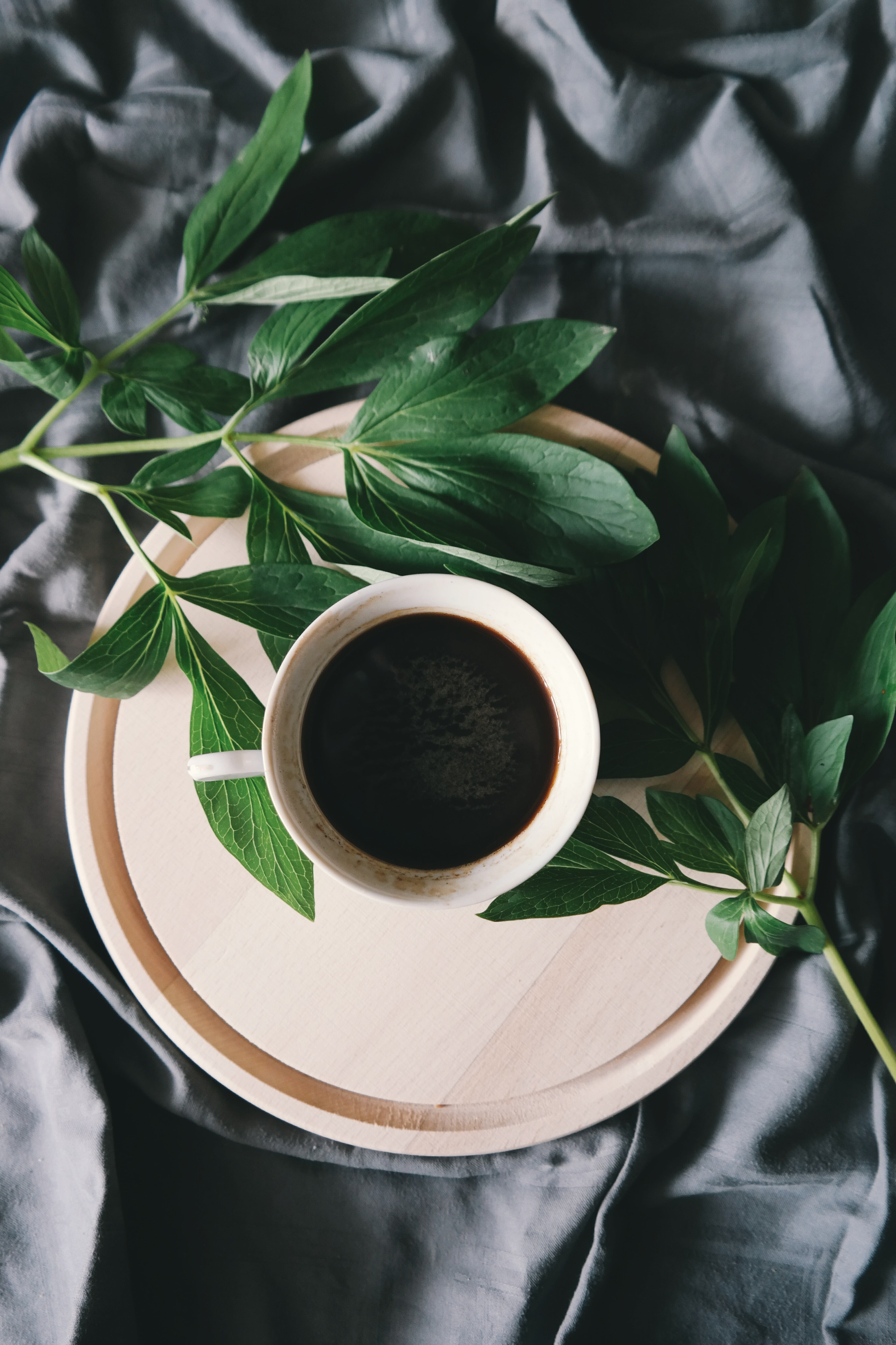 black tea on a plate with leaves